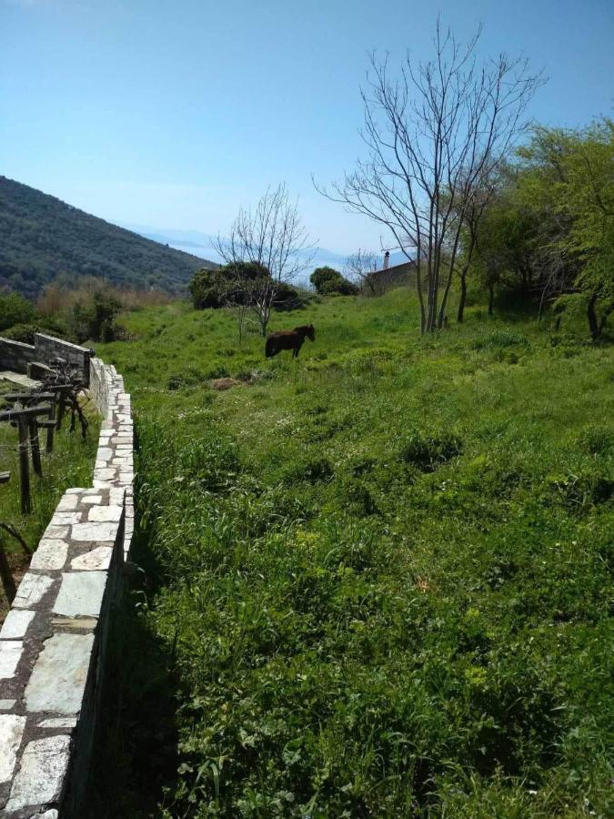 Villa Stefanos Katochori المظهر الخارجي الصورة